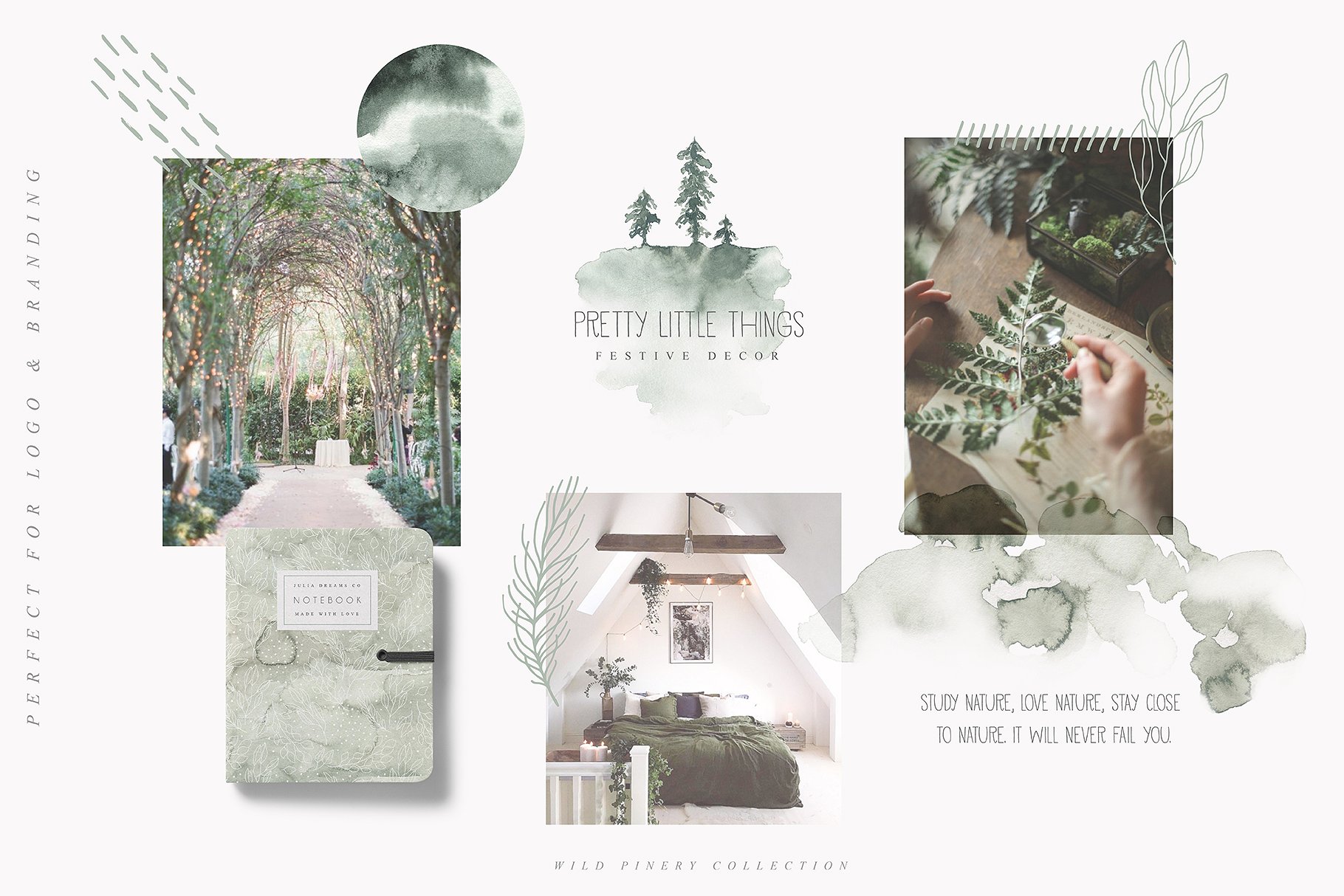 诗情画意荒野水墨画插画 Wild Pinery Watercolor Collection插图(3)