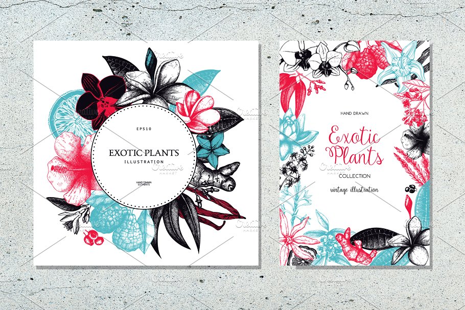 复古风奇花异草设计素材集 Vinatge Exotic Plants & Flowers Set插图(3)