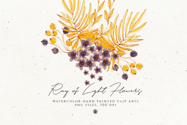 浅色优雅水彩手绘花卉剪贴画PNG素材 Ray of Light Flowers
