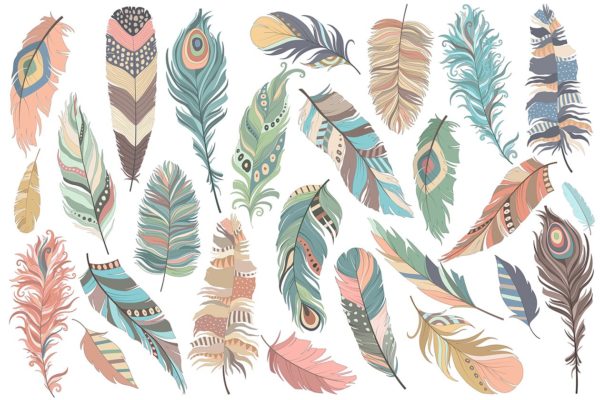 独特手绘部落文化羽毛矢量插画 Tribal Feathers Vector PNG &amp; JPG Set