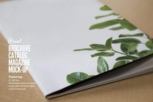 宣传册/小册子/目录设计预览样机素材库精选模板 Brochure / Booklet / Catalog Mock-Up PSD