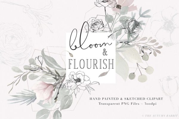 淡雅手绘素描花卉剪贴画 Bloom &amp; Flourish – Floral Clipart