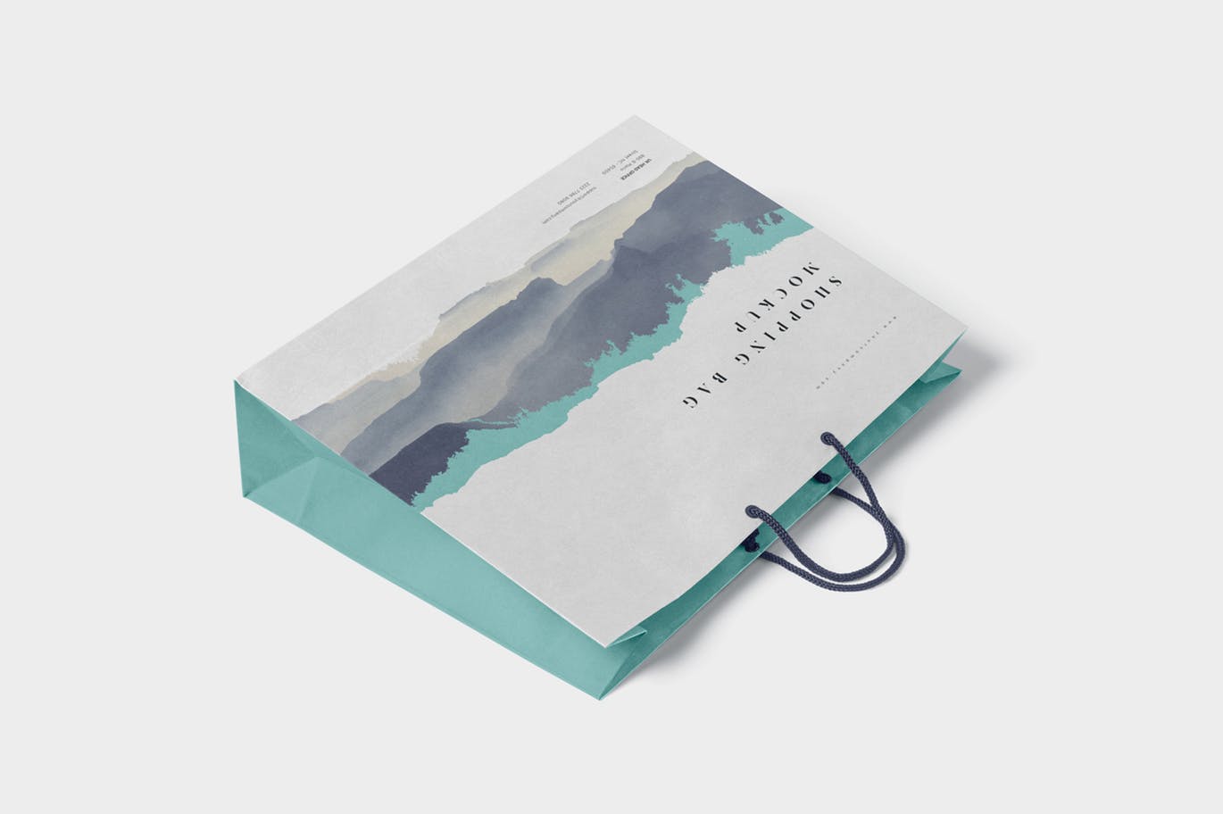 5个高品质的时尚高端吸引人的房地产手提袋购物袋包装设计VI样机展示模型mockups插图(1)