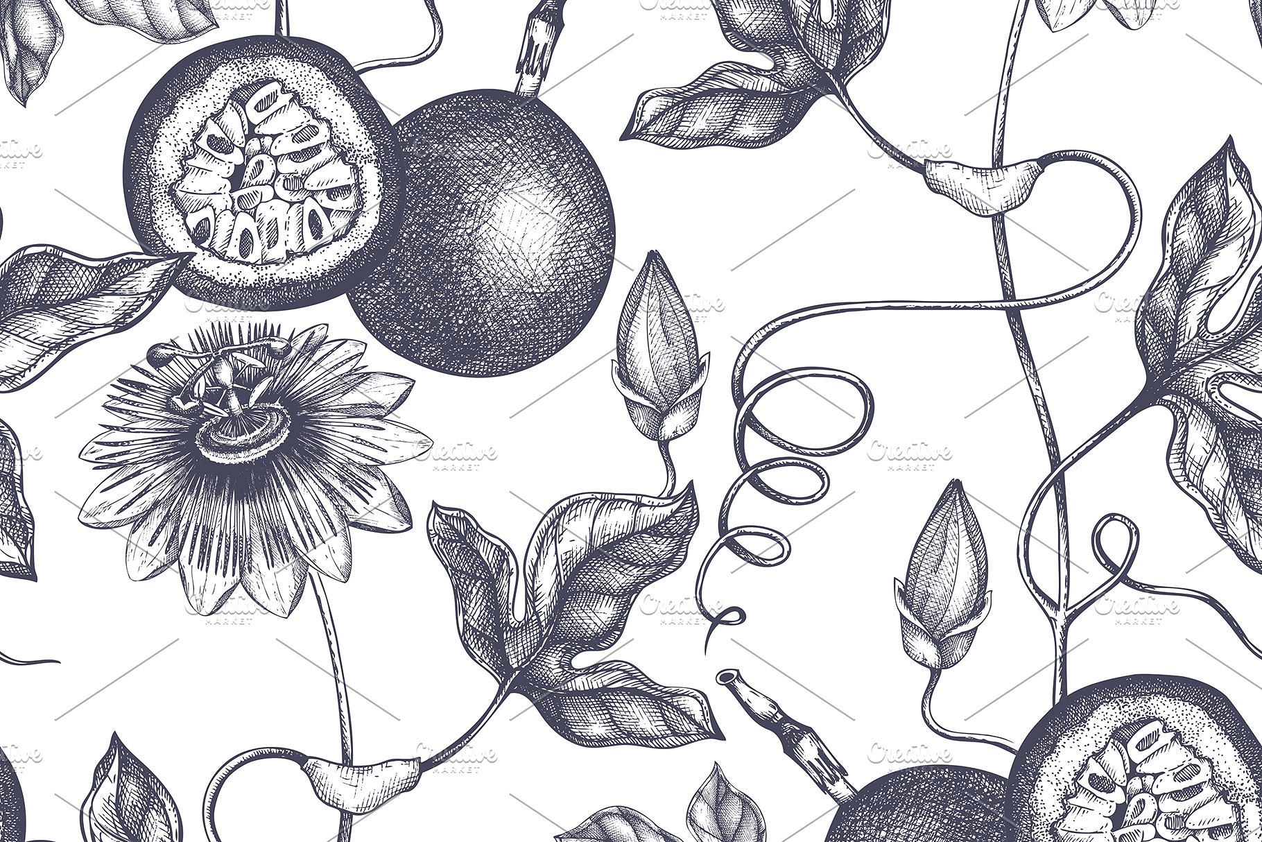 热带亚热带水果矢量图形套装 Vector Exotic Fruits & Plans Set插图(7)