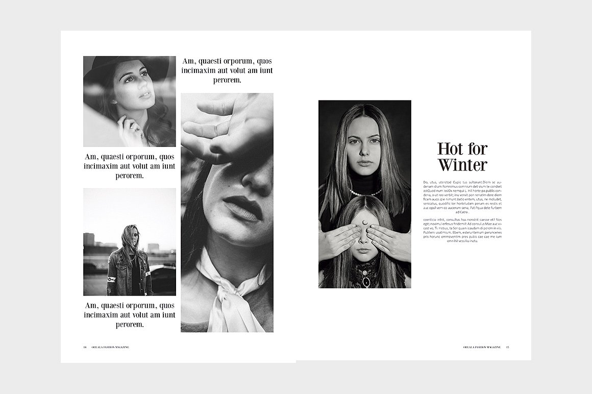 OhLaLa Magazine Template一套概念的极简主义多用途杂志模板下载[indd]插图(6)