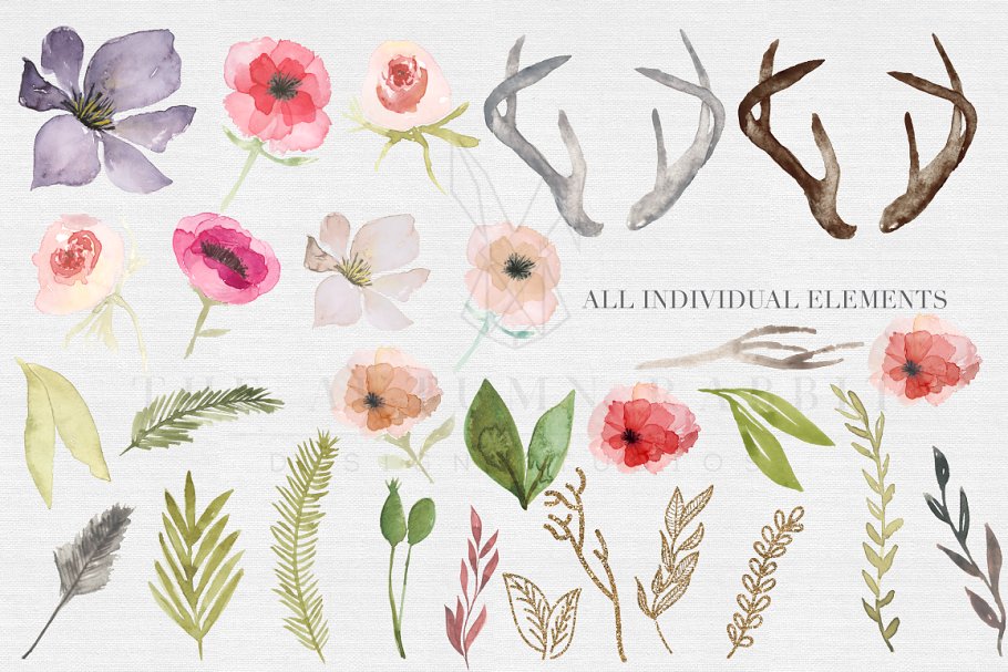 独特手绘花卉鹿角剪贴画合集 Antlers & flowers Watercolor Clipart插图(1)