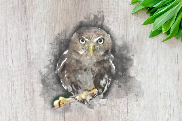 质朴的动物水彩手绘插图Vol.1 Rustic Watercolor Animals – Volume 1插图(7)