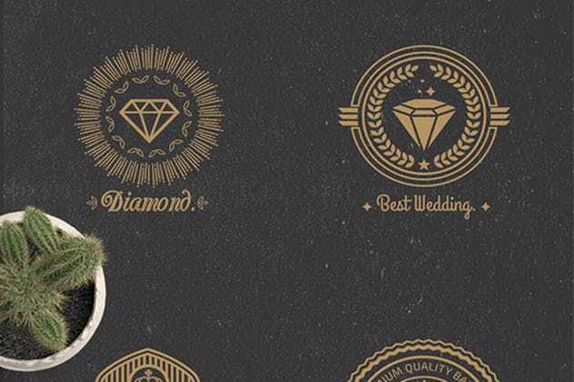 22枚欧美复古风格品牌Logo商标设计模板 22 Vintage Logos插图(5)