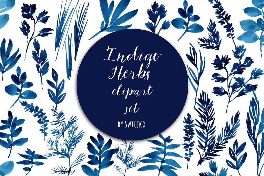 草本水彩剪贴画 Watercolor Herbs, leaves插图