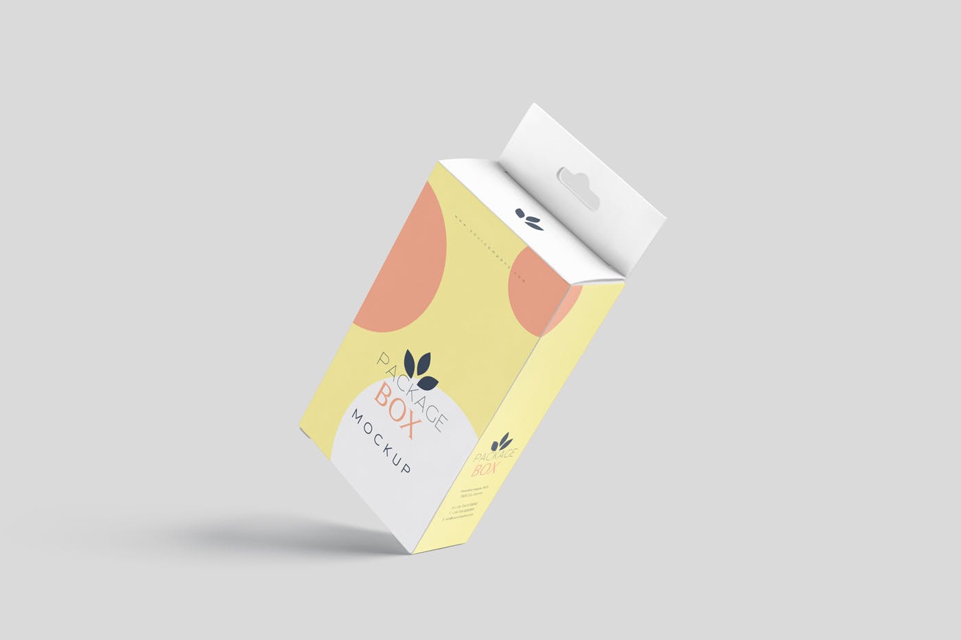 带挂耳设计扁平矩形产品包装盒效果图素材库精选 Package Box Mockup Set- Flat Rectangle with Hanger插图(3)