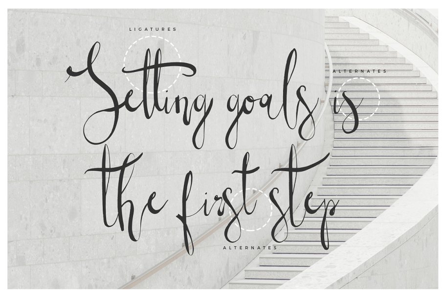 13款手写英文字体合集&Logo模板、矢量插画 Wonderland Fonts Pack & Branding Kit插图(76)