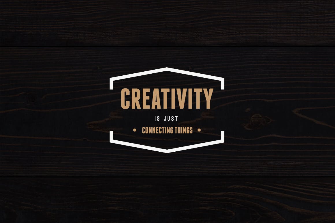 18款复古设计风格品牌Logo&徽标设计模板插图(2)