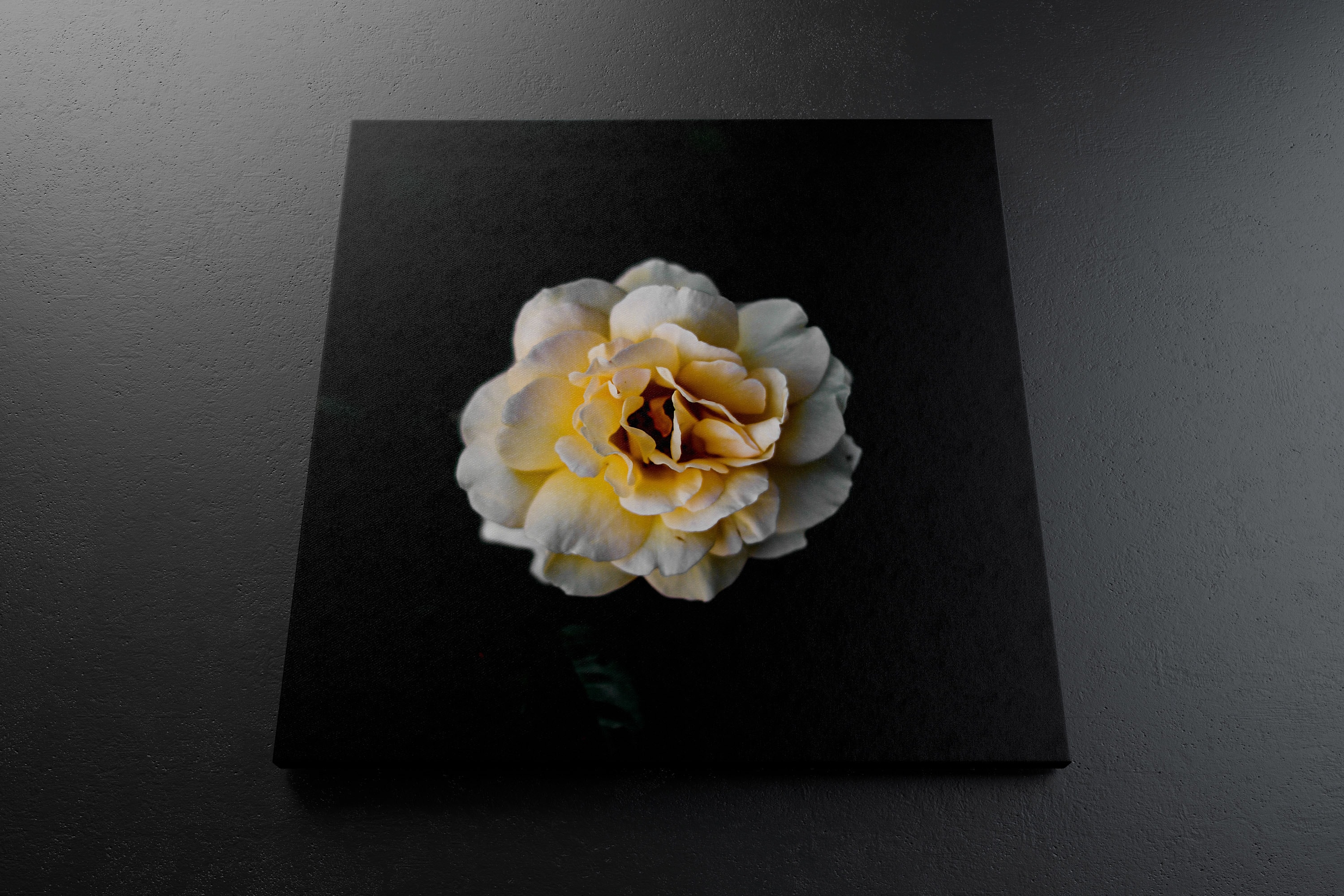 油画绘画作品挂墙展览画布底部前视图样机 Square Canvas Mockup Hanging on Wall, Bottom Front View插图(3)