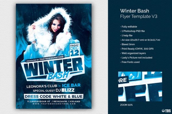 冬季狂欢节派对活动PSD传单模板V.3 Winter Bash Flyer PSD V3