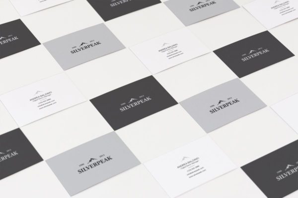 逼真高端企业品牌名片样机 Business Card Mockups