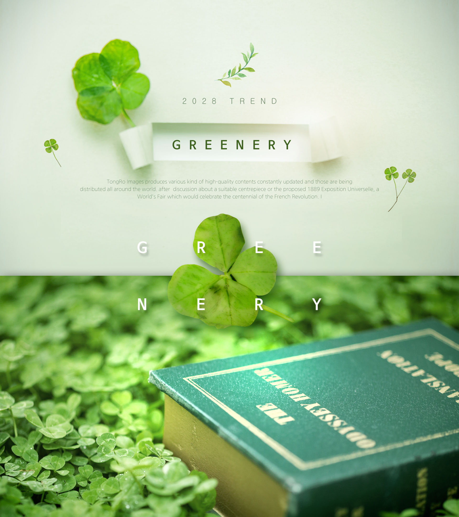 春夏绿色主题海报模板PSD下载插图