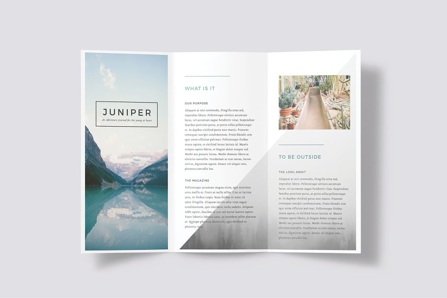 高端优雅风格折页传单设计模板 J U N I P E R  Trifold Brochure插图(3)