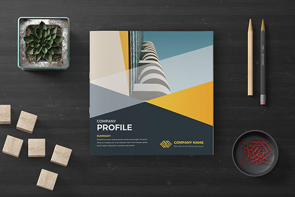 专业极简的公司简介画册模板下载 Company Profile Square [indd]