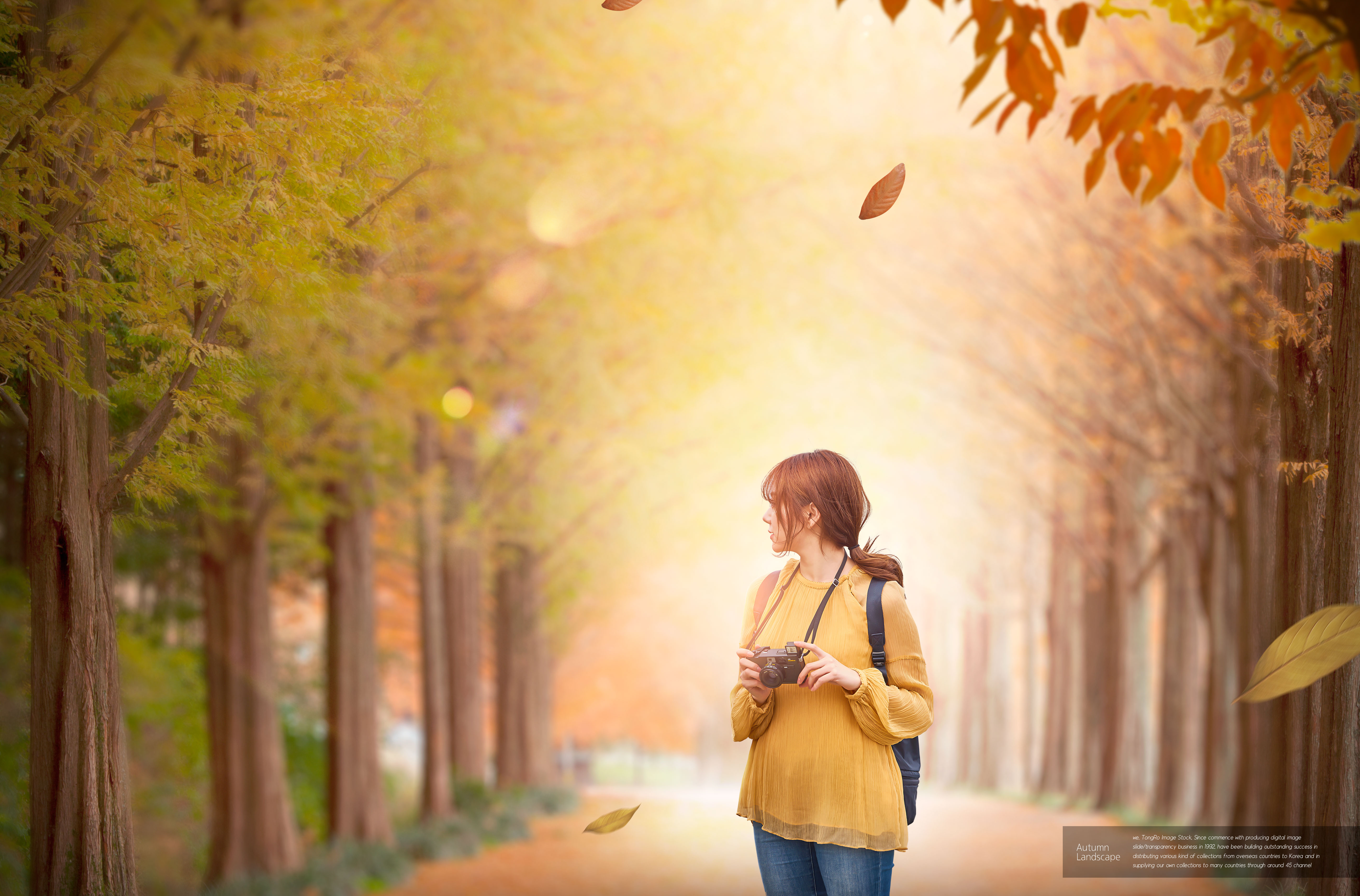 秋季景色旅行主题海报图片素材[PSD]插图