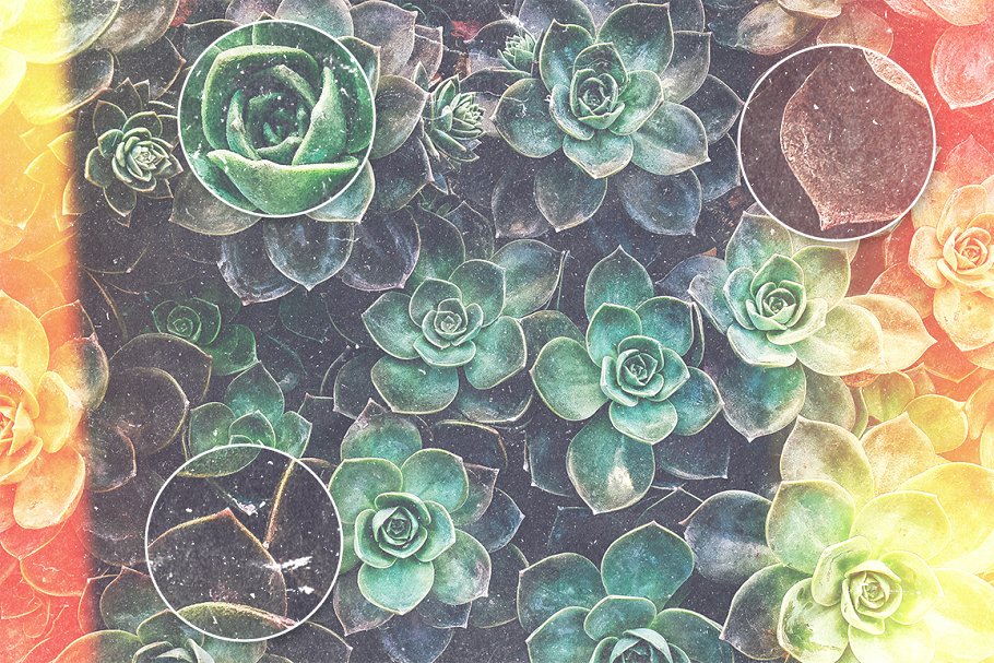 50款做旧怀旧风叠层背景 Dust Mega Pack插图(2)