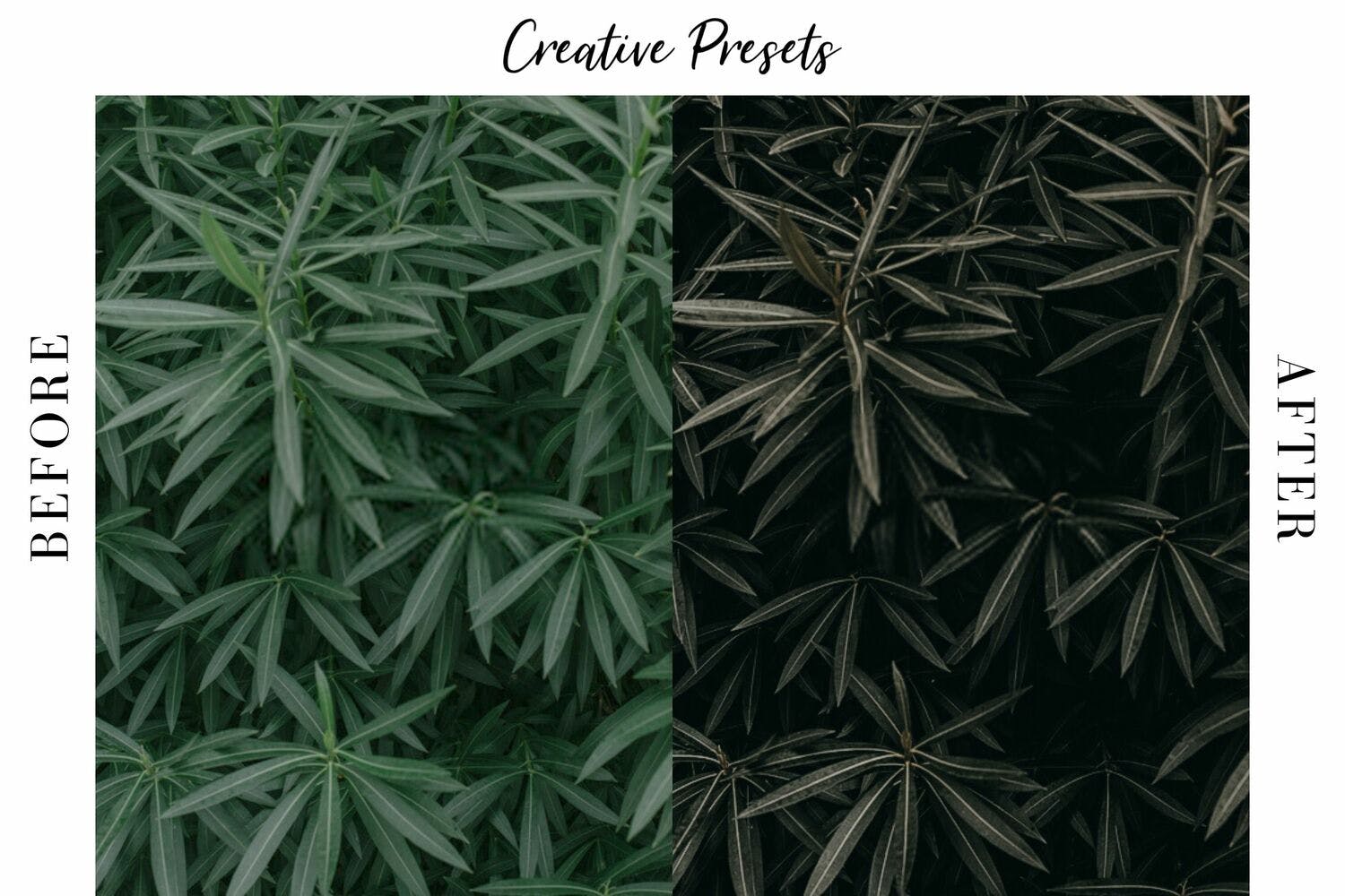 夏日照片后期调色滤镜素材库精选LR预设 KUTA – SUMMER MOBILE LIGHTROOM PRESET插图(5)