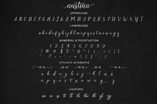 优雅线条手写英文脚本字体 Austina Script插图(4)