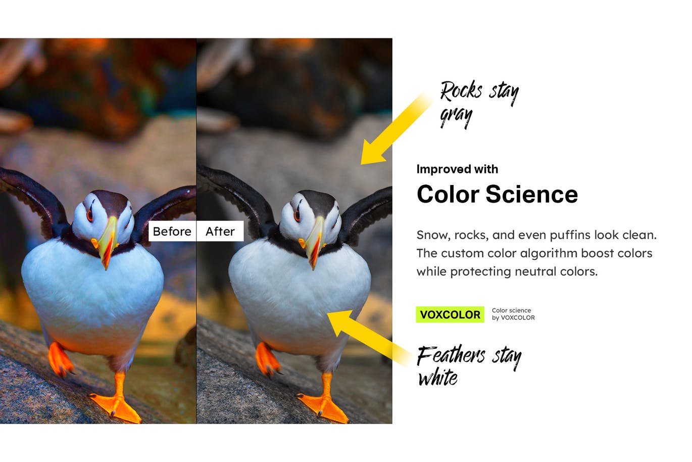 50款世界奇观/风景照片后期处理素材库精选LR预设 Epic Iceland – 50 Lightroom Presets and LUTs插图(10)