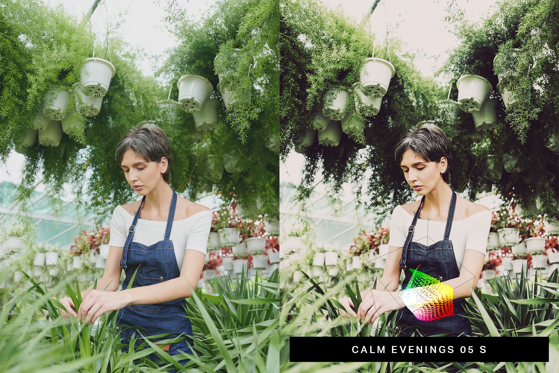 50款花园摄影/食物摄影后期调色处理Lightroom预设 50 Bountiful Garden Lightroom Presets and LUTs插图(1)