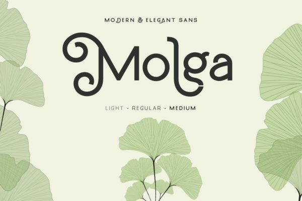 非常好看的一款现代曲线美体英文无衬线设计字体 Molga font