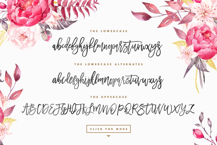 脚本字体 Madina Script (New Update)插图(6)