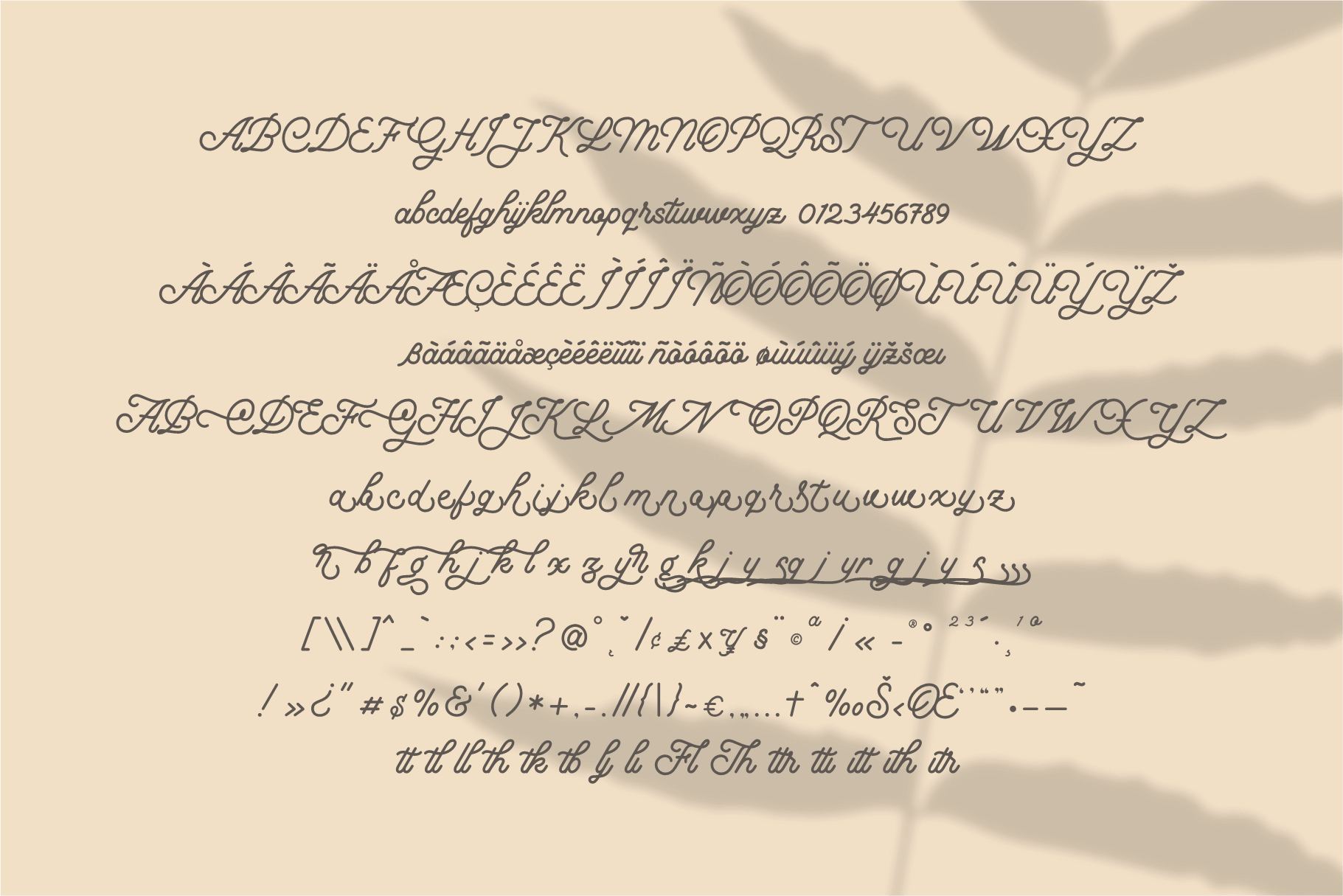 优雅圆滑可爱风格的monoline字体下载 Florista插图(6)