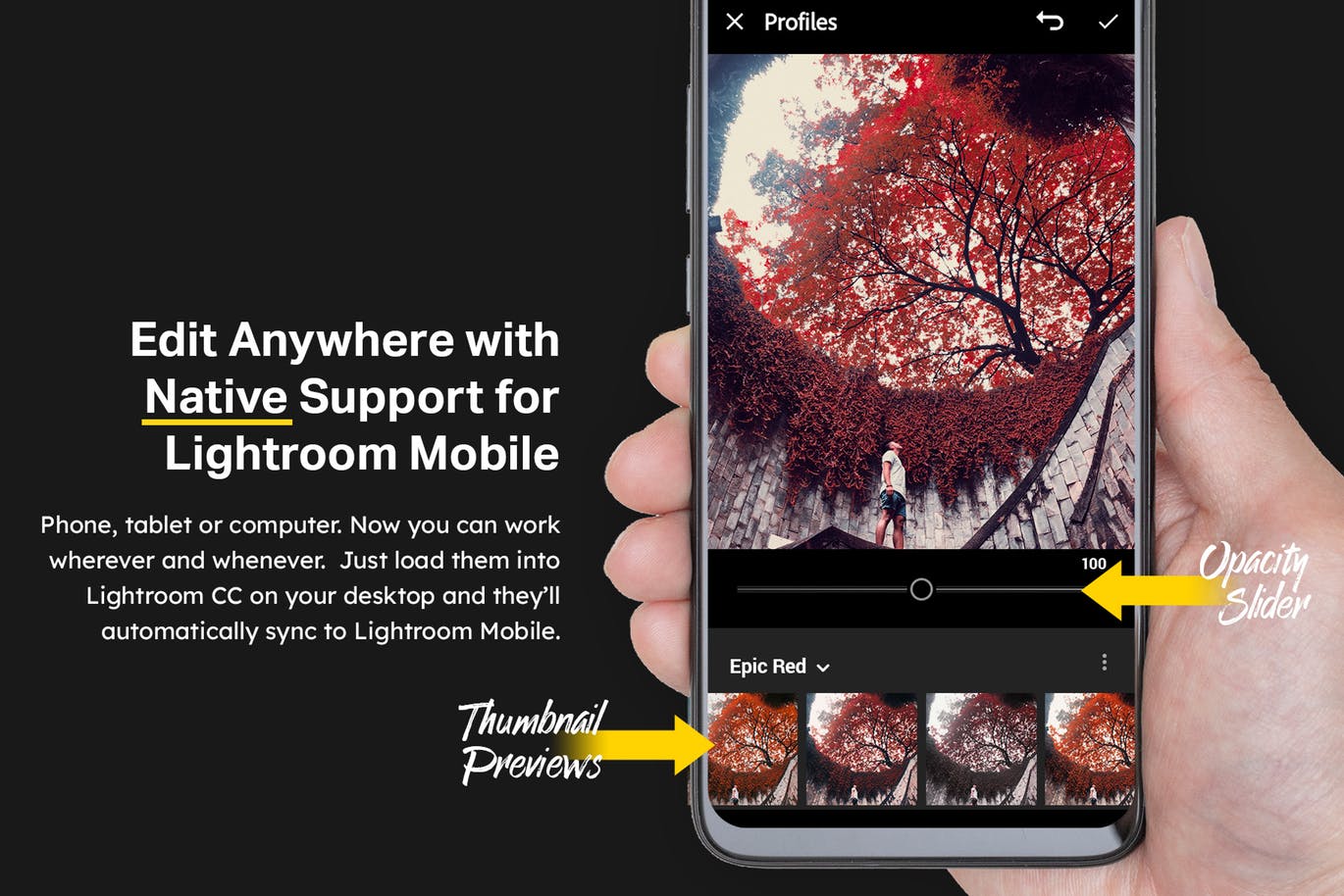 50款柯达Aerochrome红外胶片效果调色滤镜LR预设下载 50 Epic Red Lightroom Presets and LUTs插图(4)