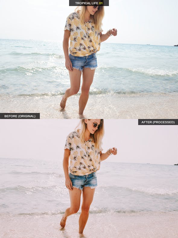 12款热带生活摄影LR调色滤镜预设 12 Tropical Life Lightroom Presets插图(1)