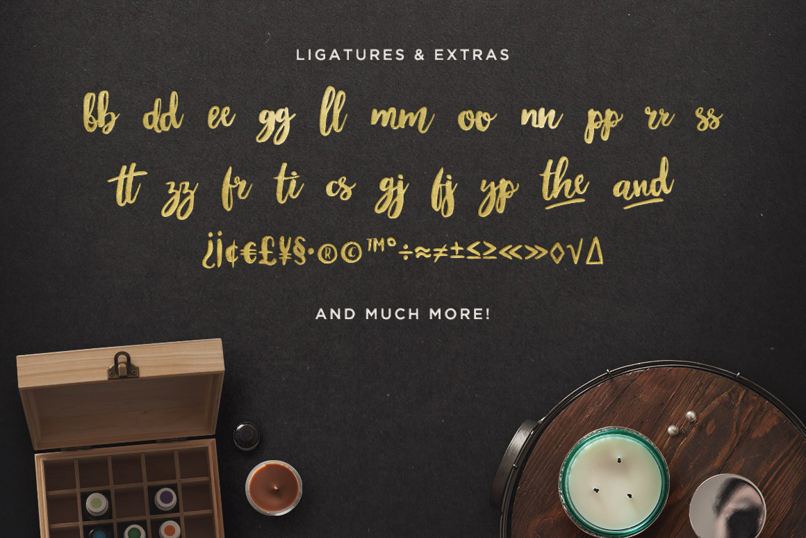 手写英文字体 Maloishe Brush Script Font(含网页字体)插图(4)