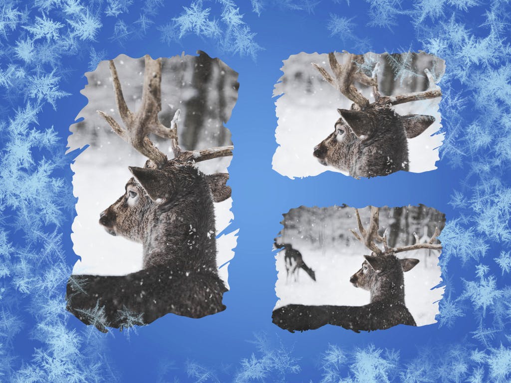 冬天雪花背景素材库精选Keynote模板下载 Hello Winter Keynote Template插图(14)