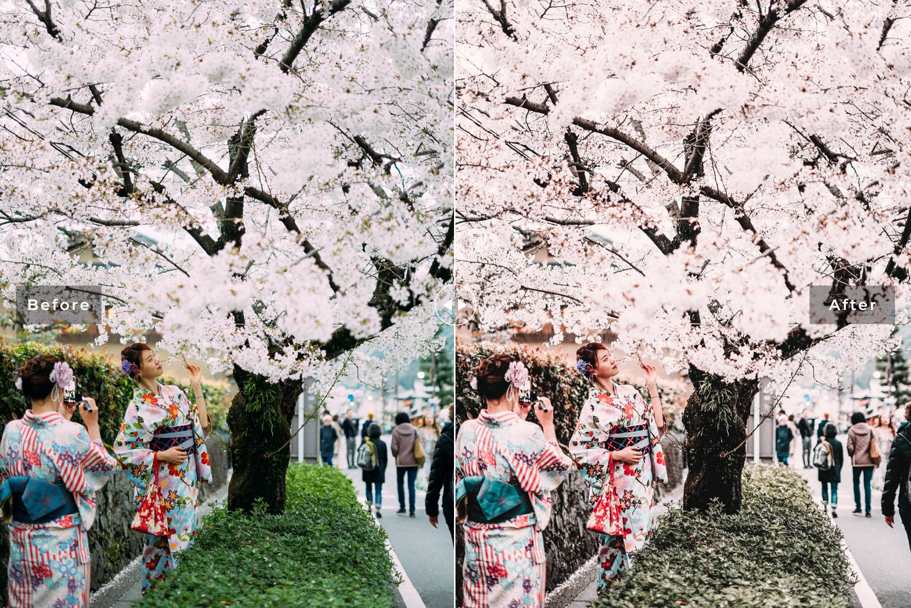 低饱和度柔和色调照片调色滤镜素材库精选LR预设 Sakura Mobile & Desktop Lightroom Presets插图(2)