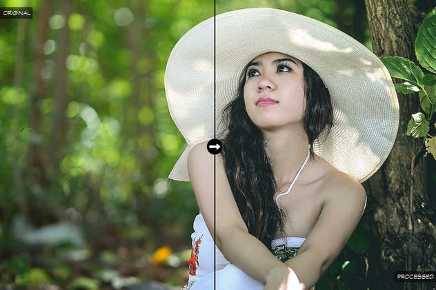 10款丛林大自然摄影照片后期处理LR预设合集 10 Into The Jungle Lightroom Presets插图(3)