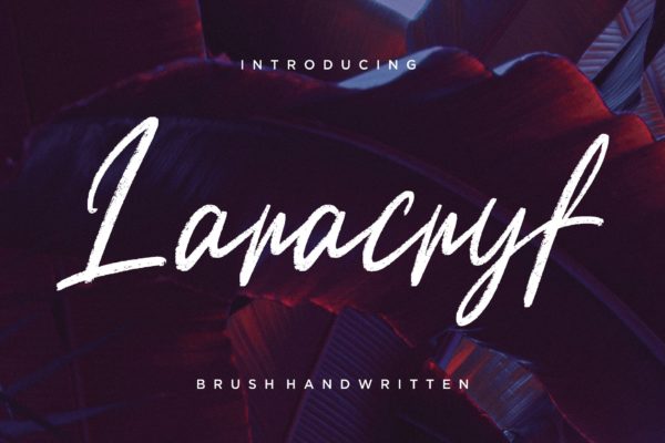 创意英文连体字设计书法字体下载 Laracryf Brush Handwritten