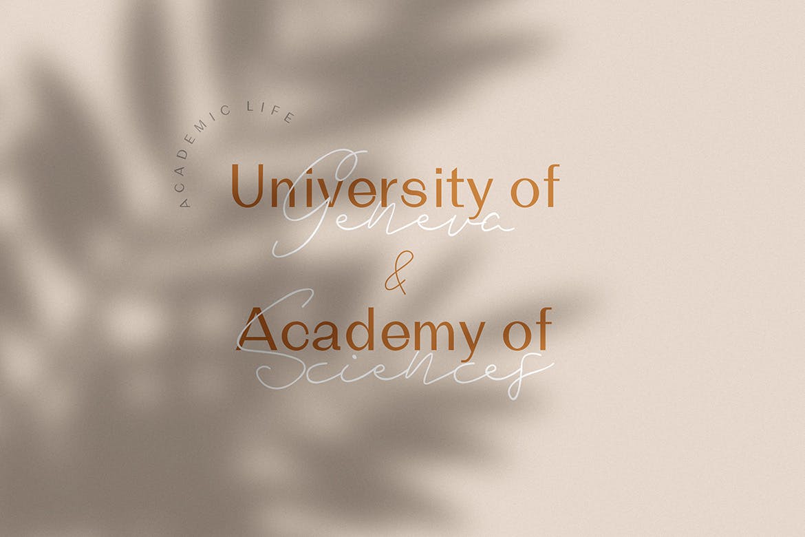 英文钢笔草书书法字体&无衬线字体合集 Marie Curie – Sans & Script插图(6)