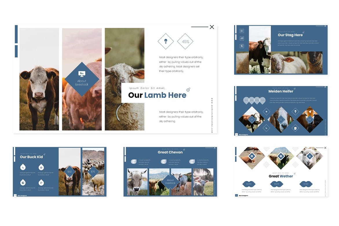 养殖业/牧场宣传谷歌幻灯片设计模板 Producing – Google Slides Template插图(2)
