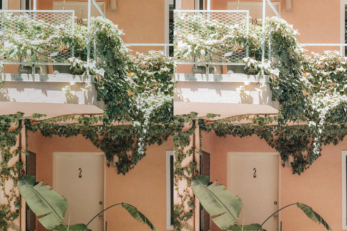 温暖棕褐色效果照片LR预设插图(2)