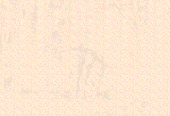 超酷动画水彩效果PS动作 Animated Watercolor Reveal Photoshop Action插图(1)