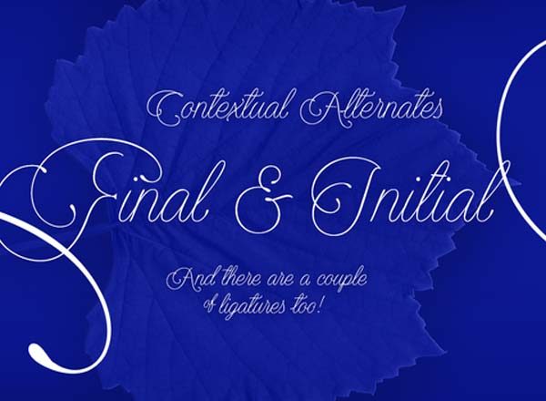 优雅自然英文书法字体 Encina Script Font Family