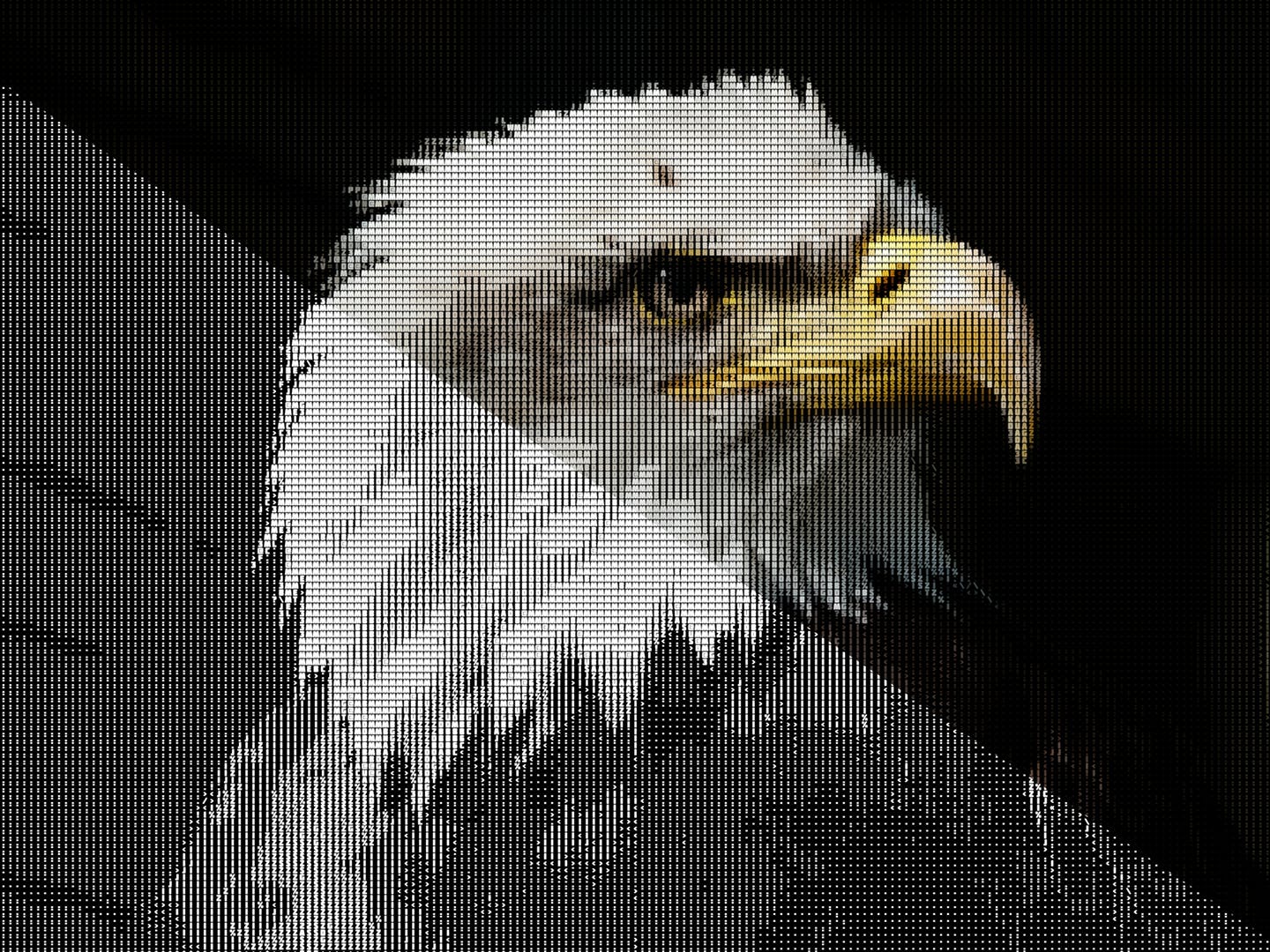 图片转文字组成特效PS脚本 Symbolizer + Symbols Checker CS4+ Photoshop Script插图(2)