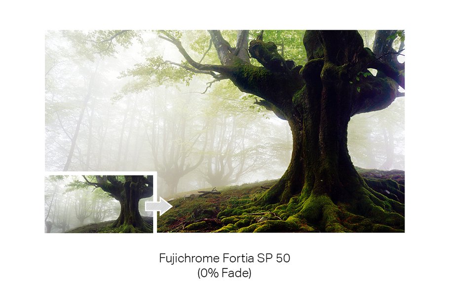 33款专业雾面胶片效果PS动作 33 Pro Matte Film Actions插图(6)