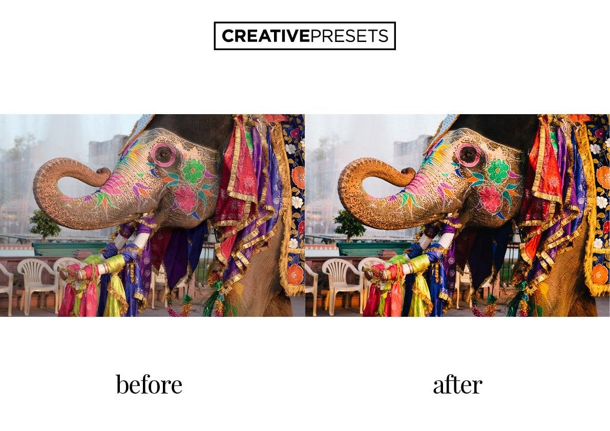 Vivid色彩模式创意摄影师照片调色LR预设工具 Vivid Color Lightroom presets插图(4)