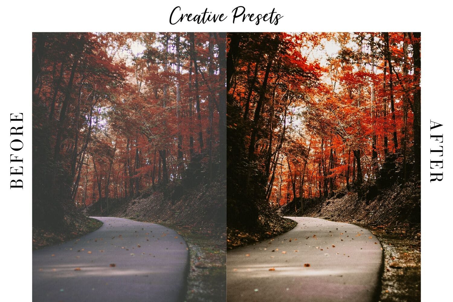 秋季摄影照片调色滤镜素材库精选LR预设 Autumn Lightroom Mobile Presets插图(6)