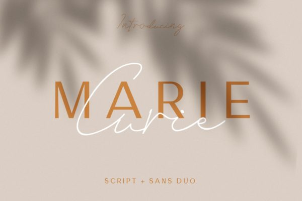 英文钢笔草书书法字体&amp;无衬线字体合集 Marie Curie – Sans &amp; Script