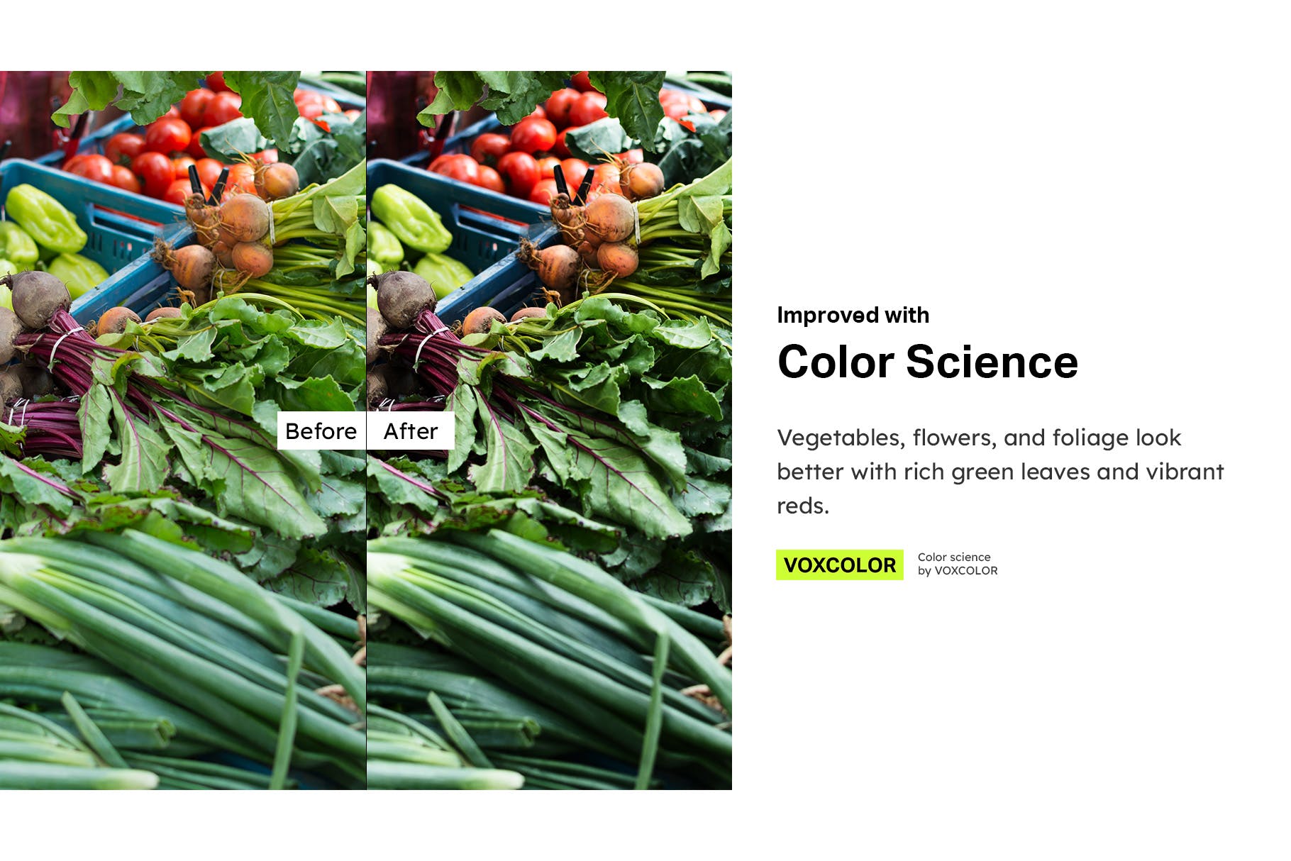 50款花园摄影/食物摄影后期调色处理Lightroom预设 50 Bountiful Garden Lightroom Presets and LUTs插图(10)