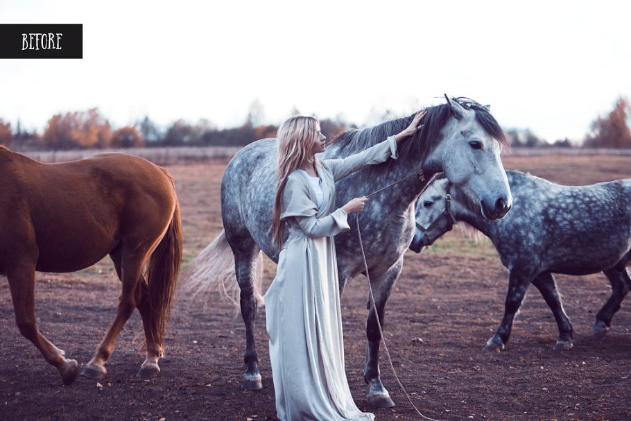 黑白照片风格 PS 动作 Black & White actions for Photoshop插图(6)